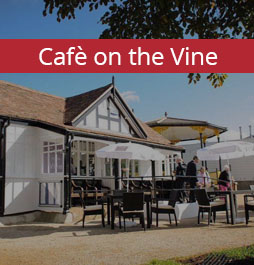 Cafe on the Vine