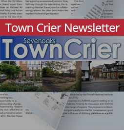 The Town Crier Newsletter