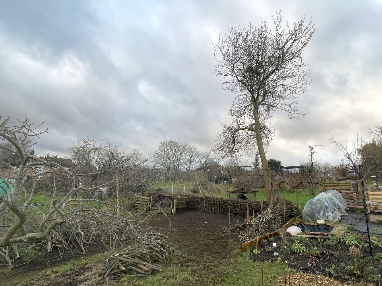 Forest School Dead Hedge Project