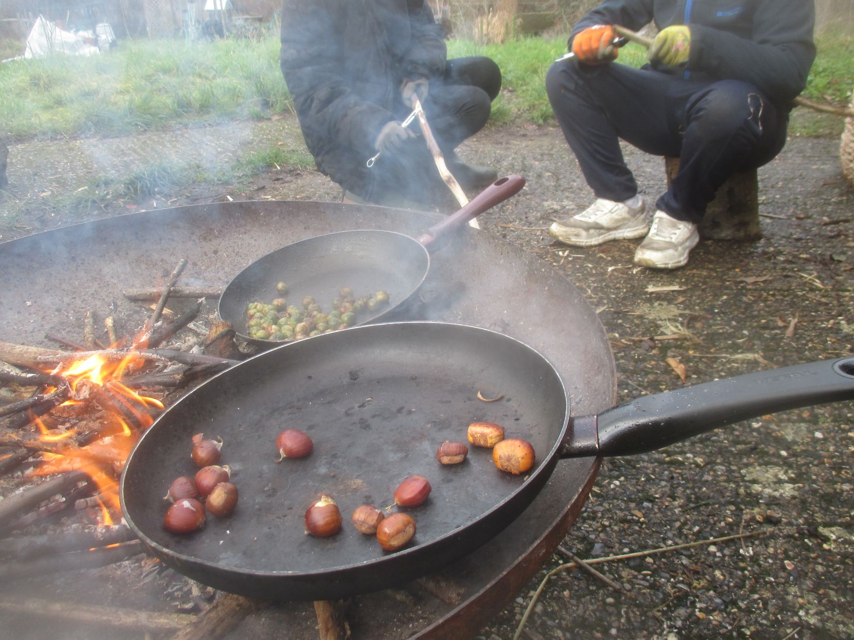 Forest School Project  - roasting chestnuts