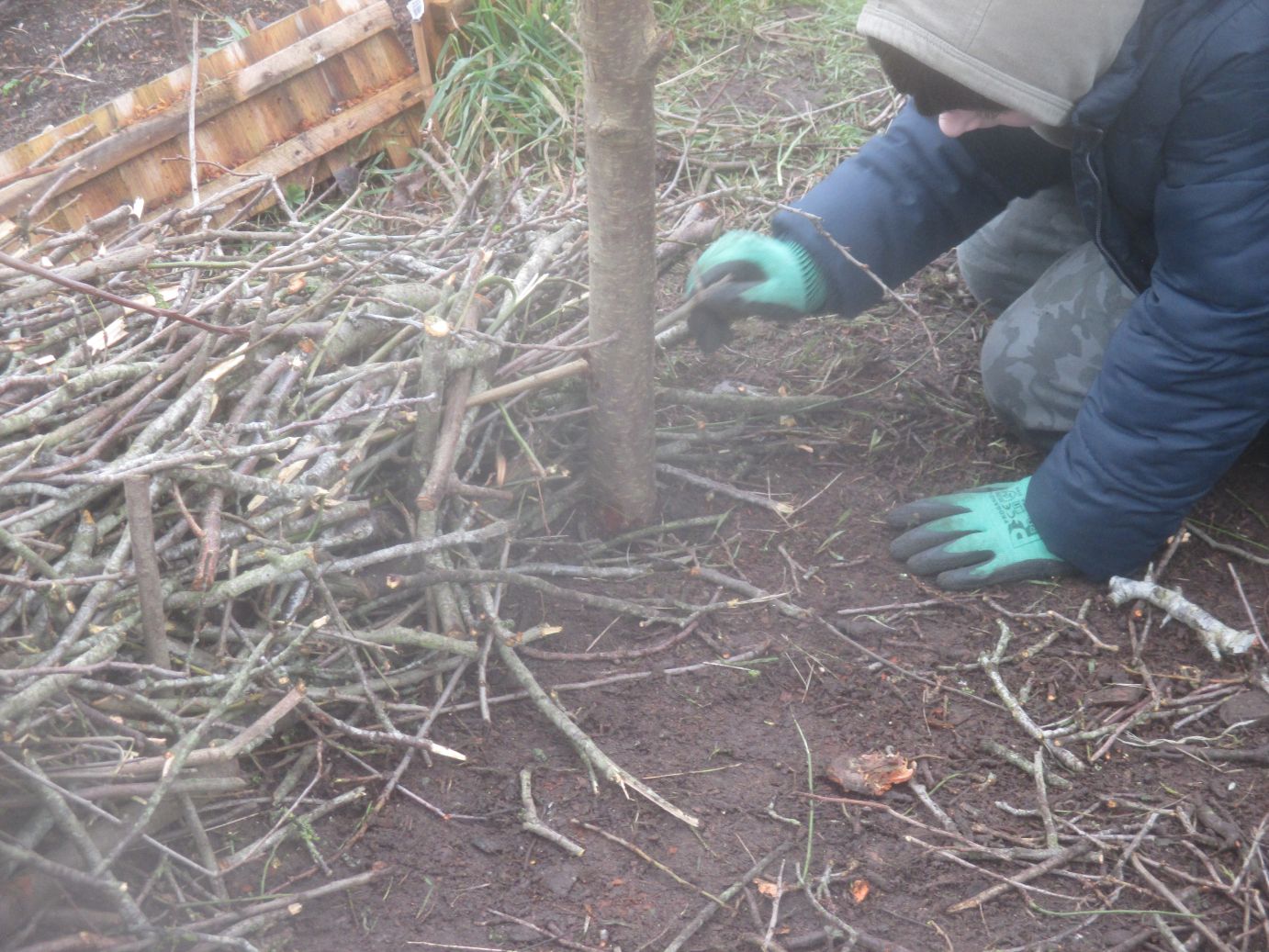 Pupil working on Forest School Project