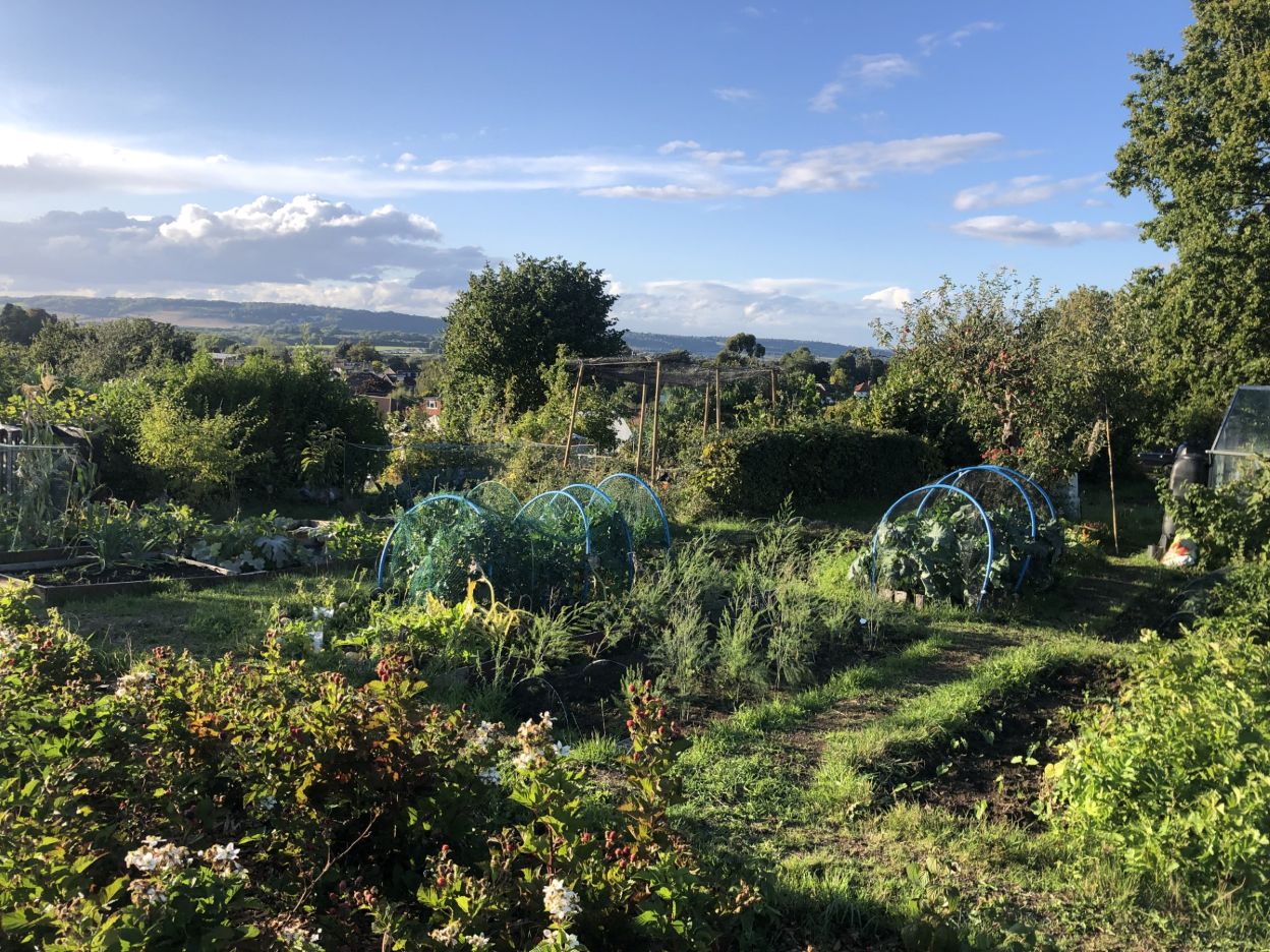 Sevenoaks Town Council funds new solar panels and gazebo at Quakers Hall Lane Allotments