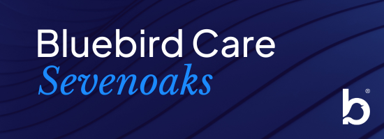 Bluebird Care logo