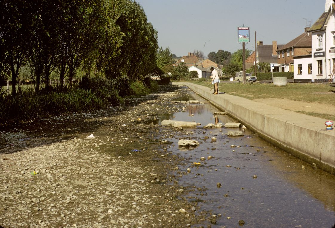 Darent River - September 1973 - Eynsford and Farningham History Society
