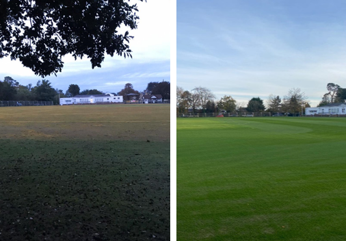 PRESS RELEASE   Vine Cricket Ground – to re-open to public in March 2021