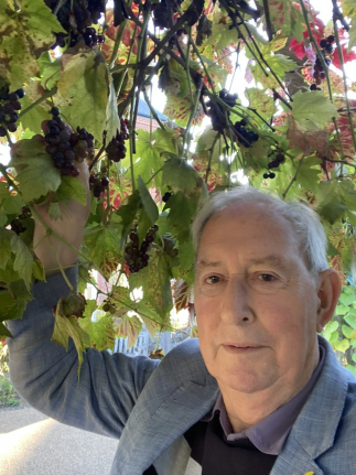 Bumper crop on The Vine