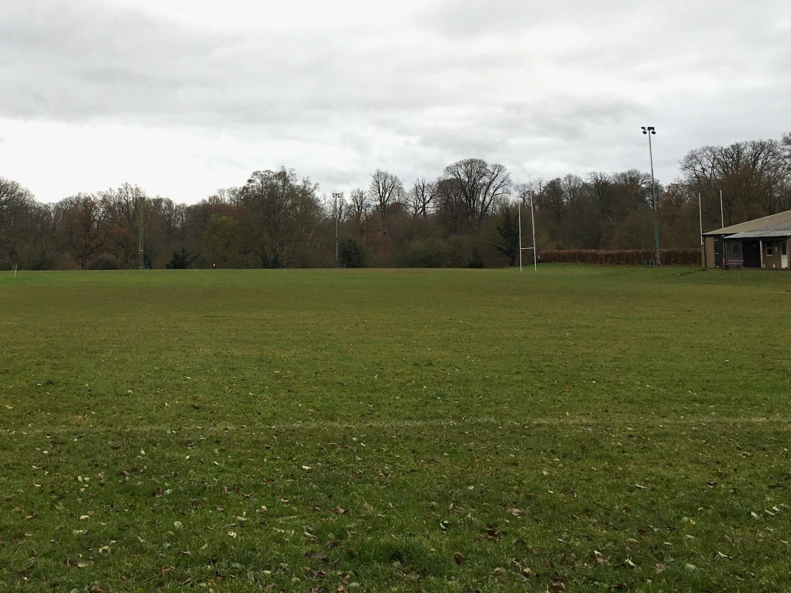 Sevenoaks Town Council and Sevenoaks Rugby Club collaborate to improve Knole Paddock maintenance