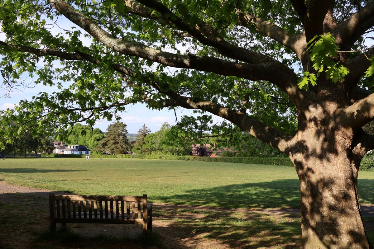 Sevenoaks Town Council seriously concerned about District Council’s recommendations for Community Asset Transfers