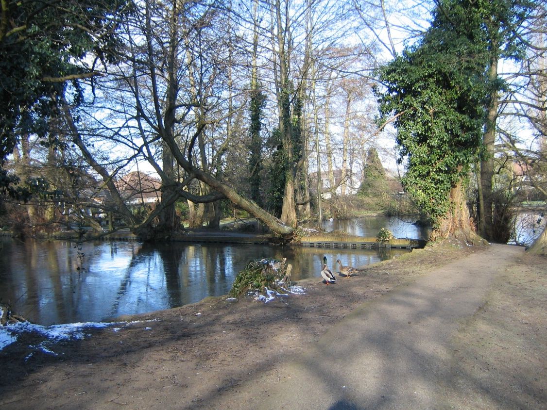 Bradbourne Lakes - image by Ann White